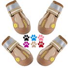 Botas Qumy Para Perros &ndash; Protectores De Patas Para Invierno Y Nieve
