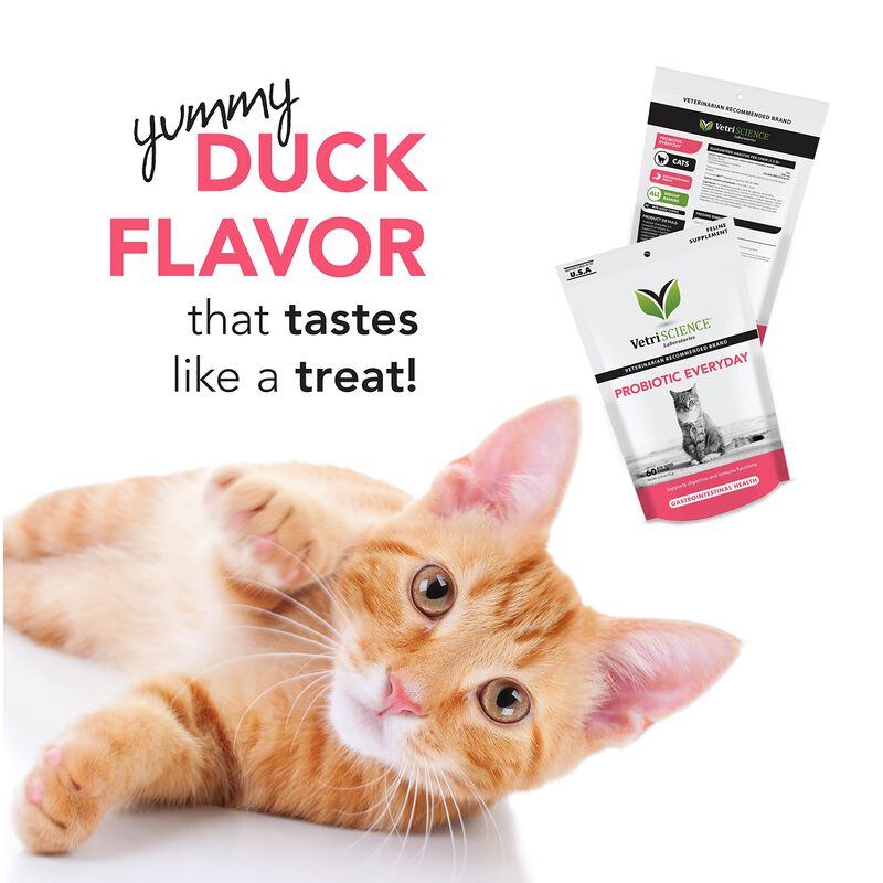 Suplemento Vetriscience Gut Health Chews Probio... image number null