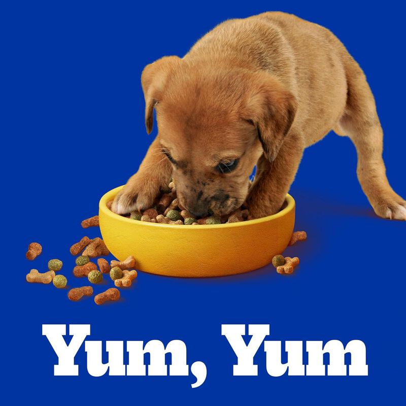 Pedigree Cachorro 20 Kg M&aacute;s 2 Gratis 22kg image number null