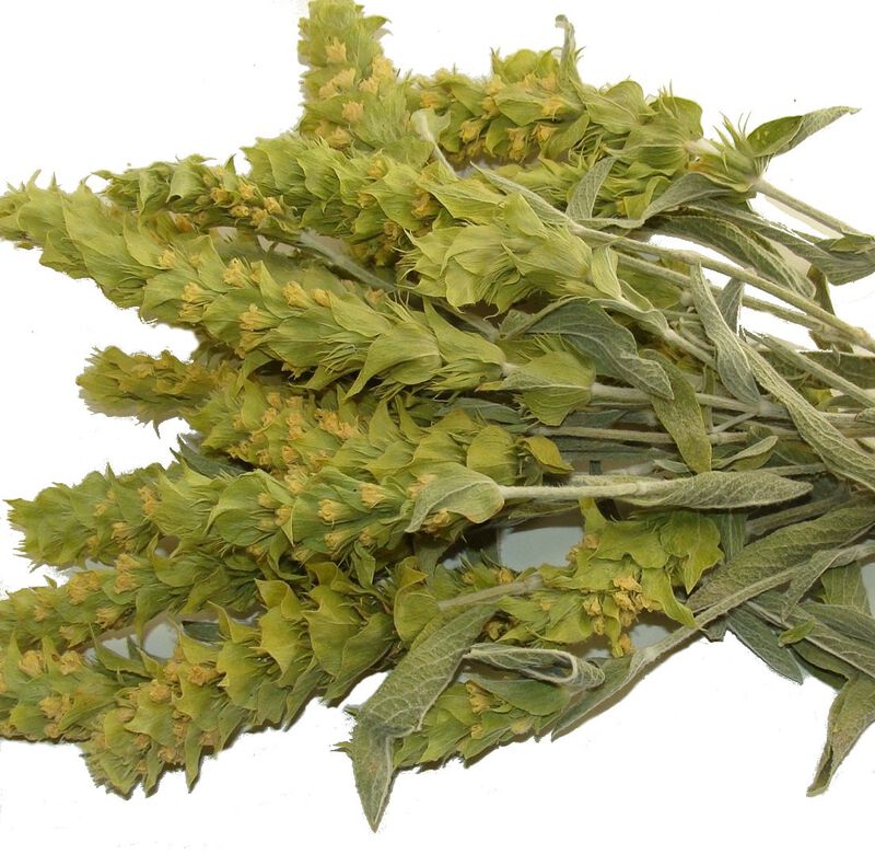 T&eacute; De Hoja Suelta Griego De Monta&ntilde;a Sparta Natu... image number null