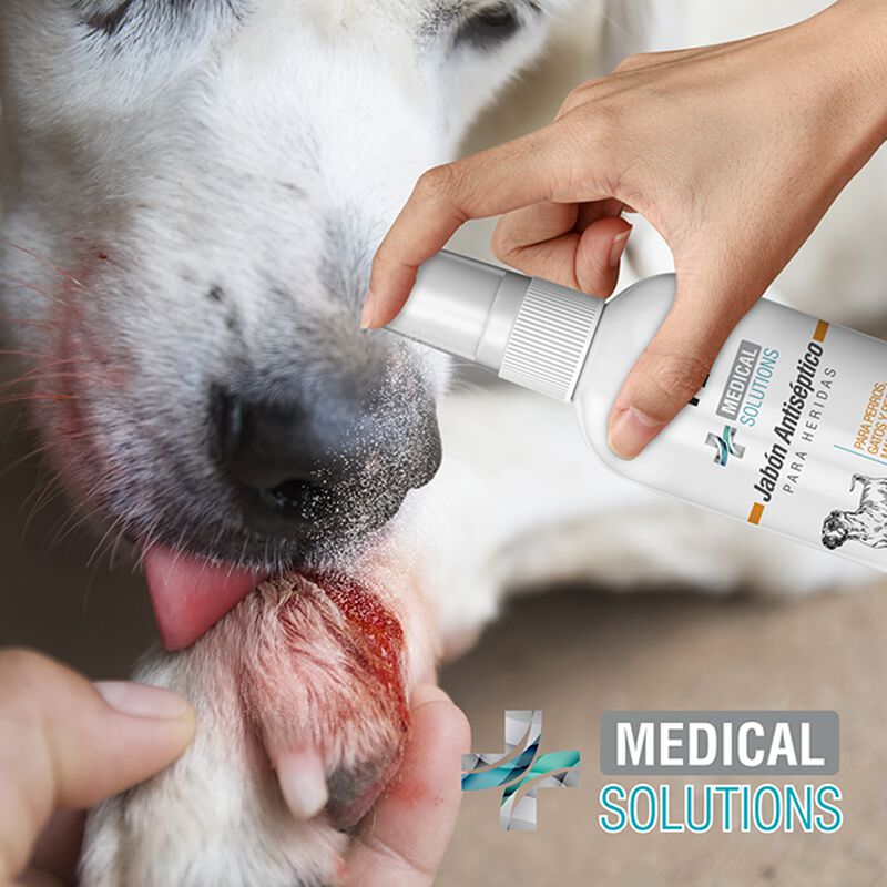 Medical Solutions Jabon Antiseptico 125 Ml image number null