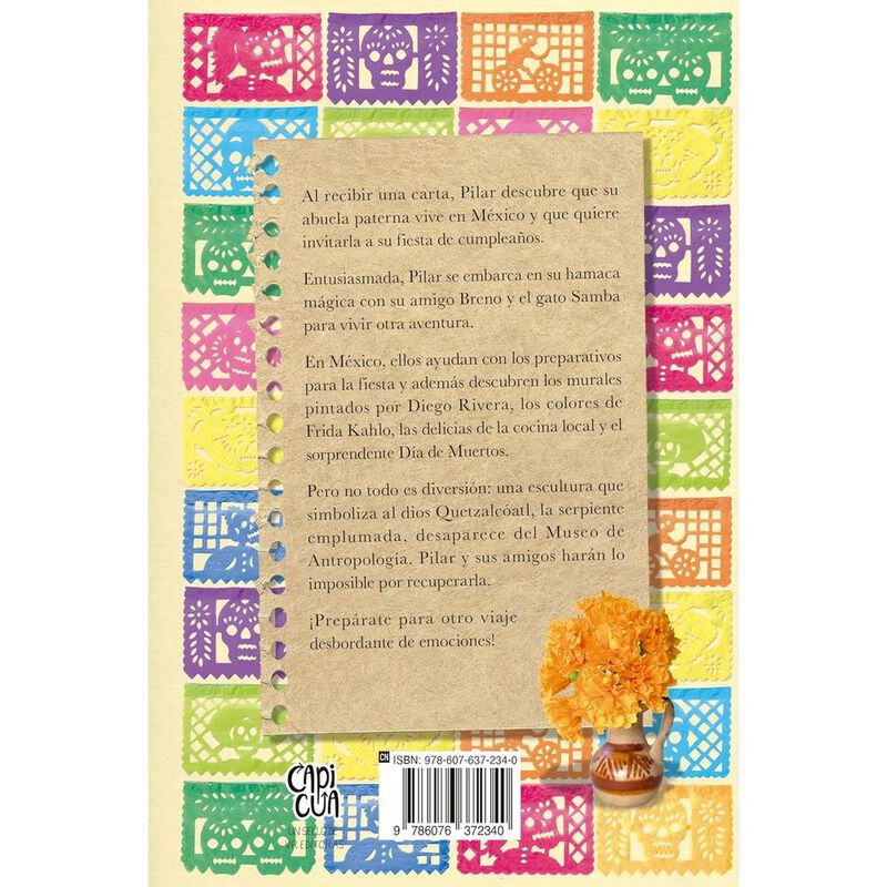 El Diario De Pilar En M&eacute;xico image number null