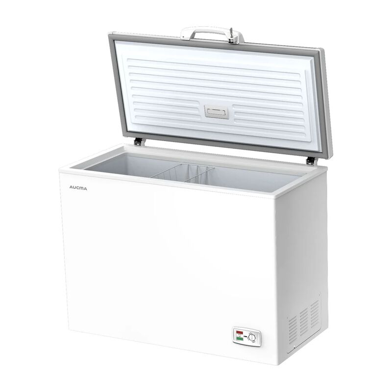 Congelador Horizontal 9ft Fast Freeze Dual 4d B... image number null