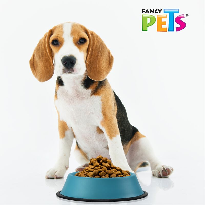 Fancy Pets Plato De Colores Surtidos Para Perro... image number null
