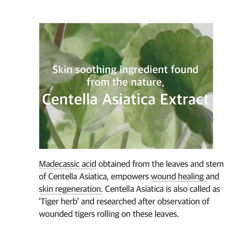 Esencia Soondy Centella Asiatica 100ml Mixsoon image number null