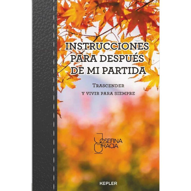 Instrucciones para Despu&eacute;s de mi Partida image number null