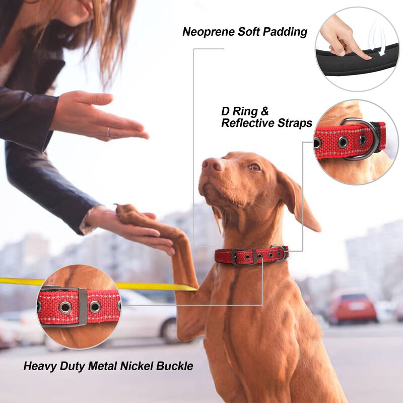 Collar Para Perro Petifine Mediano 36‑48 cm Roj... image number null
