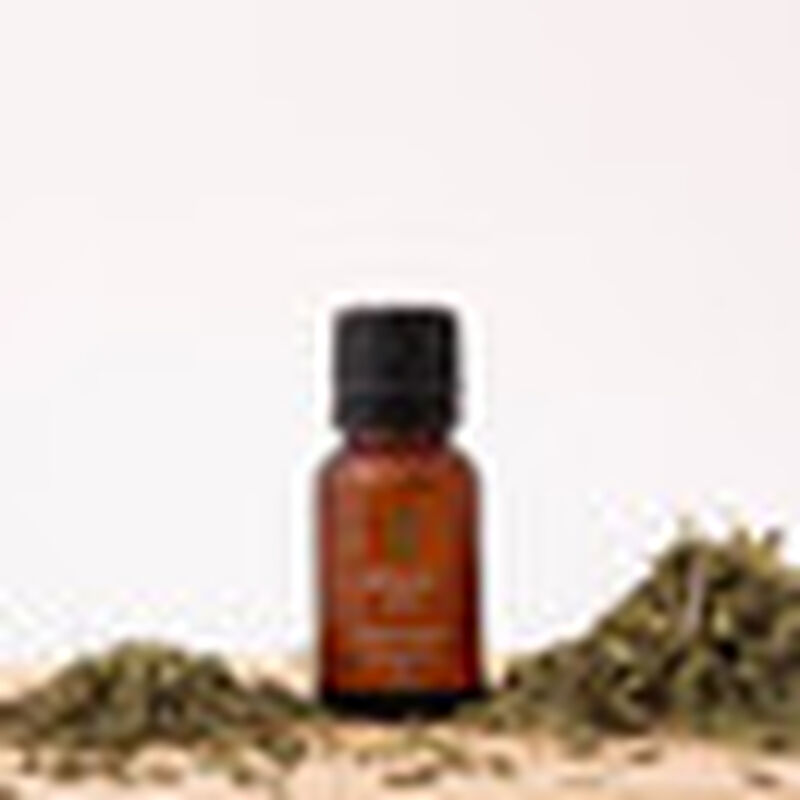 Aceite Esencial Puro Oregano 15 ml 100% Puro y ... image number null