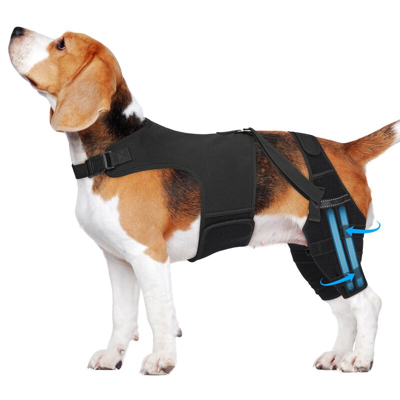 F&eacute;rula De Rodilla Para Perro Marnonsis 3xl Con ... image number null