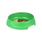 Fancy Pets Plato para Perros de Plastico 16 Oz