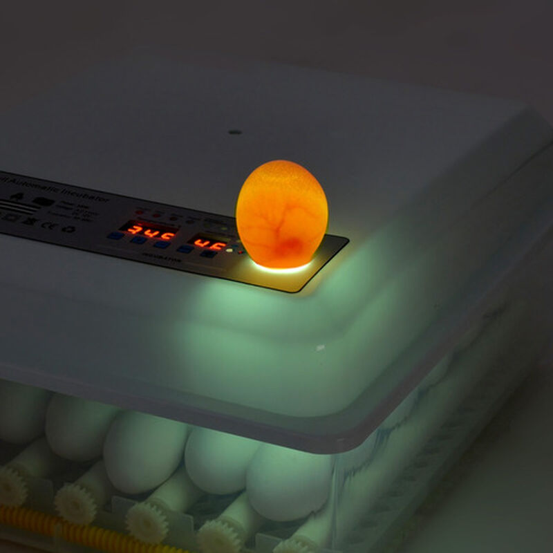 Incubadora Automática 36 Huevos Aves Pollos + O... image number null