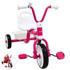 Triciclo para Ni&ntilde;os Asiento Ajustable Ruedas de Eva con Canasta Apto a partir de 2 A&ntilde;os Soporta hasta 25 kg - Rosa