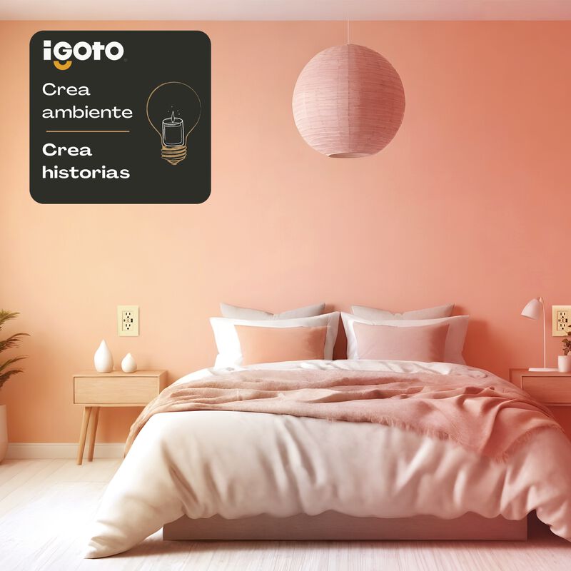 Placa con Contacto Duplex + USB+ USBC Marfil Ig... image number null