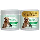 Eliminador De Olores Para Mascotas Smells Begone 425 g (2 Unidades)