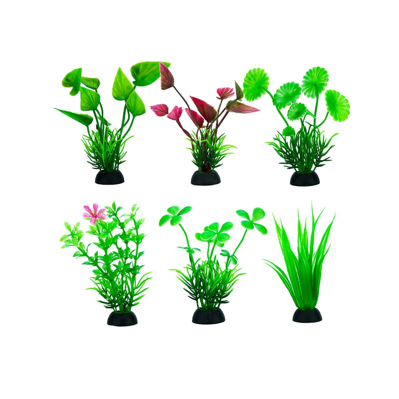 Planta Para Acuario 50 Cm - 6 Pz image number null
