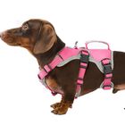 Arn&eacute;s Para Perro Huntboo A Prueba De Escape Color Rojo Rosado Talla S (27‑39 cm)