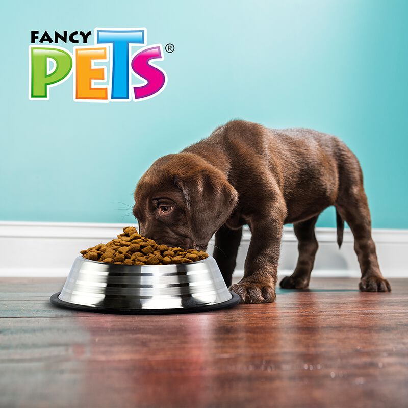 Fancy Pets Plato Estriado De Acero Inoxidable P... image number null