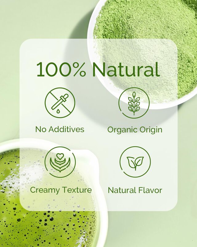 Polvo De Matcha Maestri House 100 g Org&aacute;nico Us... image number null