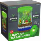 Kit De Terrario Dan&darci Light-up Con Luz Led Para Ni&ntilde;os De 6 A 12 A&ntilde;os