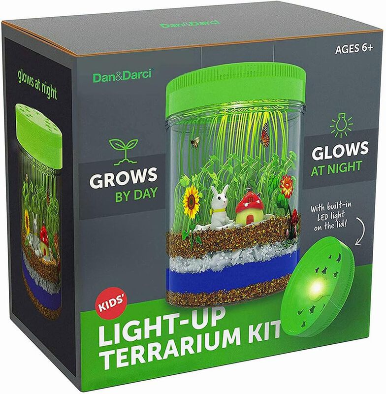 Kit De Terrario Dan&darci Light-up Con Luz Led ... image number null