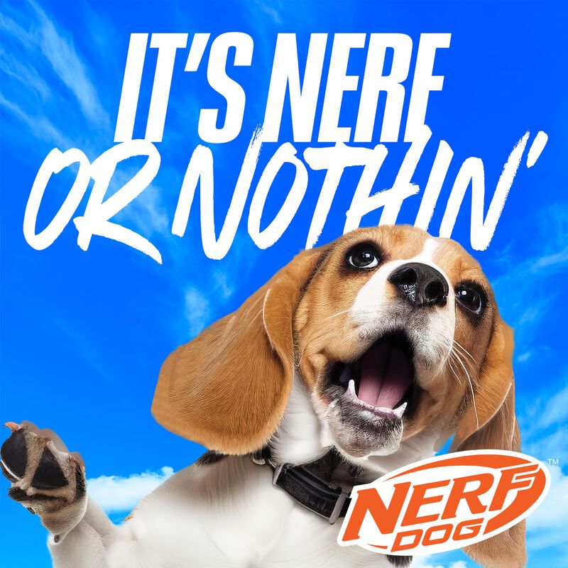 Juguete Para Perros Nerf Dog 48 cm V&oacute;rtice Cuer... image number null