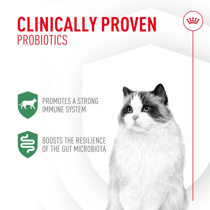 Suplemento Royal Canin Probiotics Digestive Imm... image number null