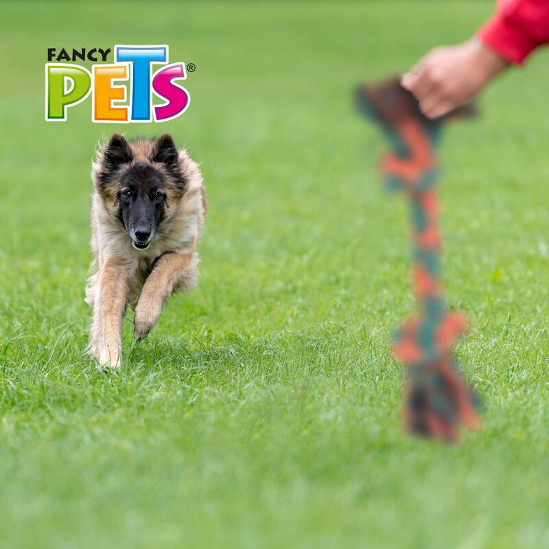 Fancy Pets Juguete Mordedor Hueso de Hilo para ... image number null