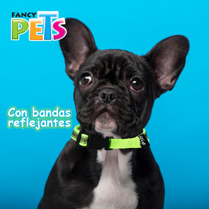 Fancy Pets Collar Con Ultra Grip Y Bandas Refle... image number null