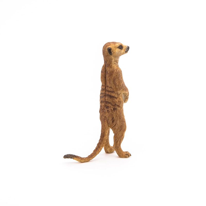 Figura Papo Wild Animal Kingdom Standing Meerka... image number null