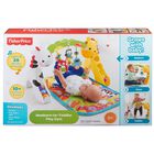 F-P GIMNASIO ETAPAS CRECE CONMIGO CCB70