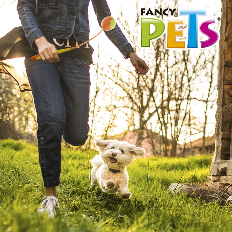 Fancy Pets Juguete Lanzador de Pelota para Perr... image number null