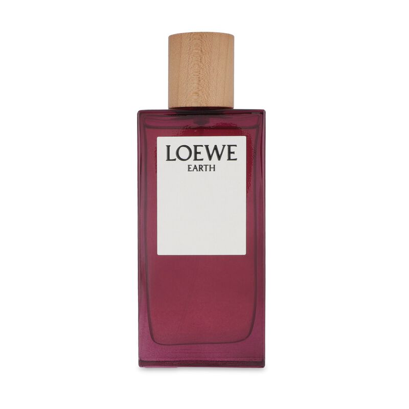 Loewe Earth 100ml Edp Spray image number null