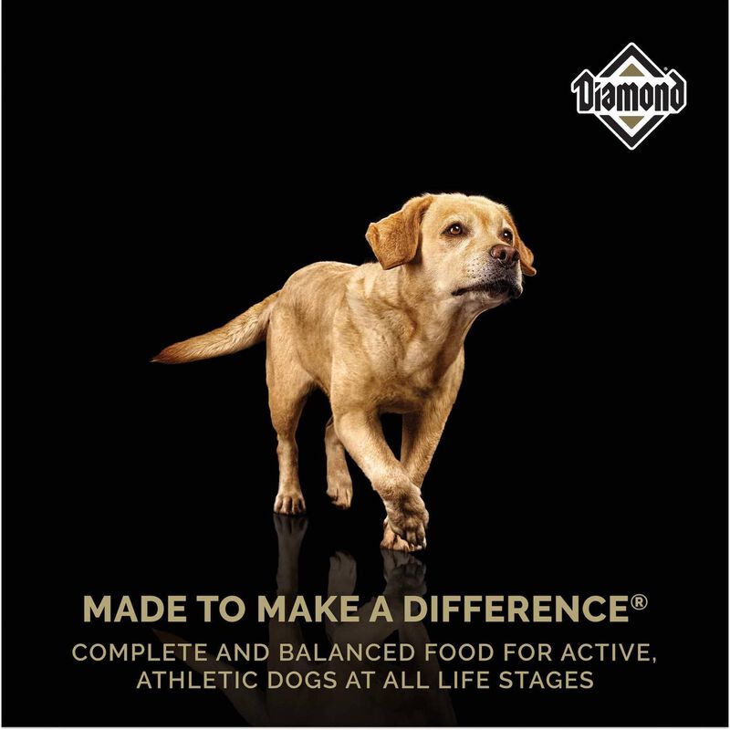 Diamond Naturals Adult Dog Lamb Meal & Rice For... image number null