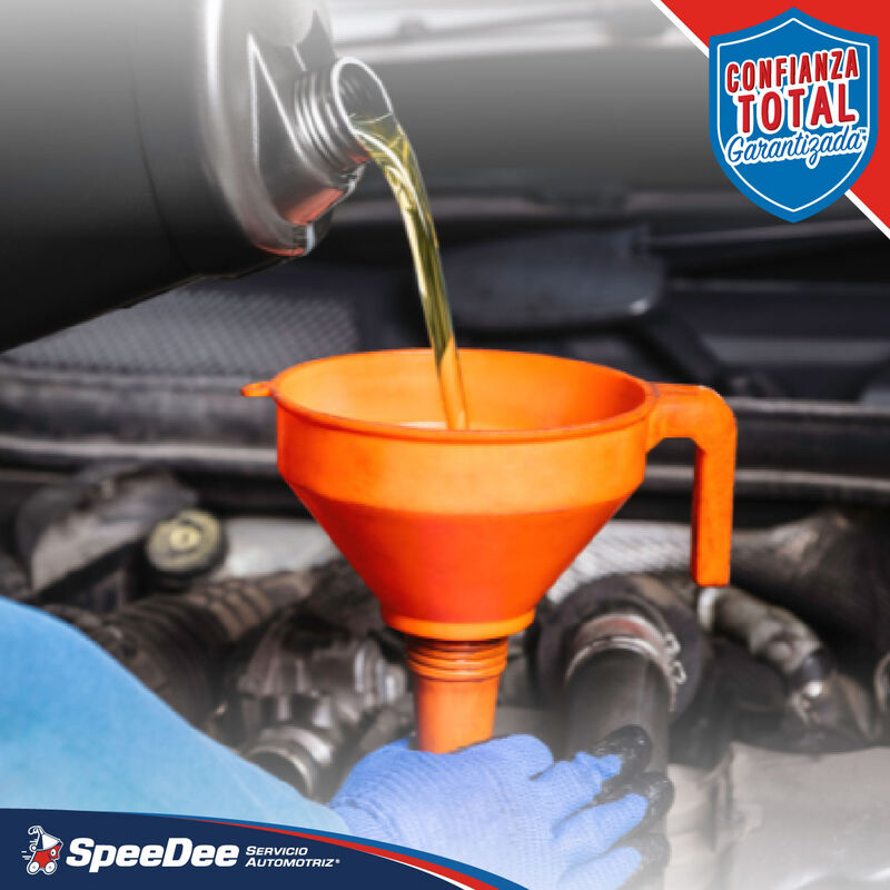 Servicio de Afinación con Aceite Mineral. image number null