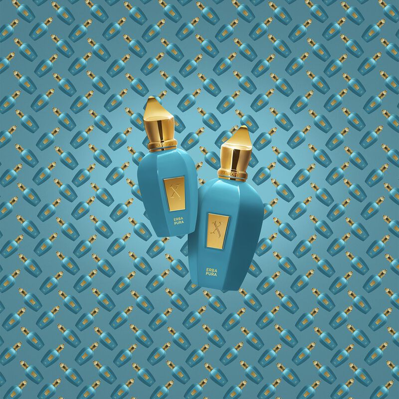 Perfume Xerjoff V Erba Pura Eau De Parfum, 50 M... image number null
