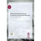 Sistema Interam&eacute;ricano De Protecci&oacute;n De Derechos Humanos