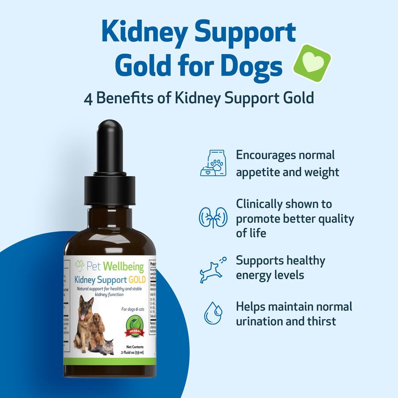Suplemento Pet Wellbeing Kidney Support Gold Pa... image number null