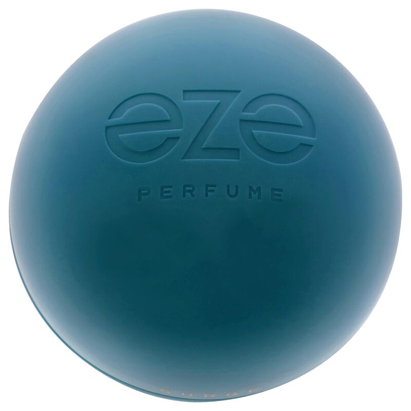 Perfume Eze Surge Para Hombre Edp 75 Ml image number null