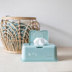 Toallitas Funkybox Menta - Hojas