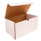 Caja Microcorrugado 20x11.5x10