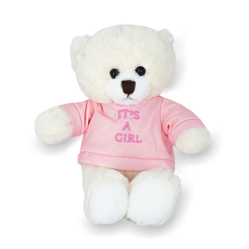 Oso de peluche baby shower revelaci&oacute;n ni&ntilde;o suet... image number null