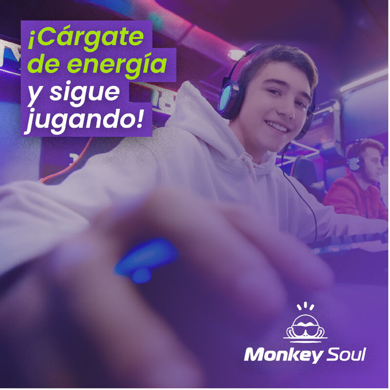 Pilas Baterías AA Recargables Monkey Soul 6 pie... image number null