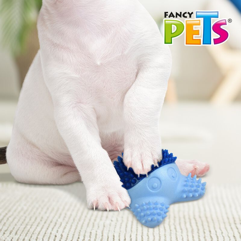 Fancy Pets Juguete para Perros Estrella de Mar ... image number null