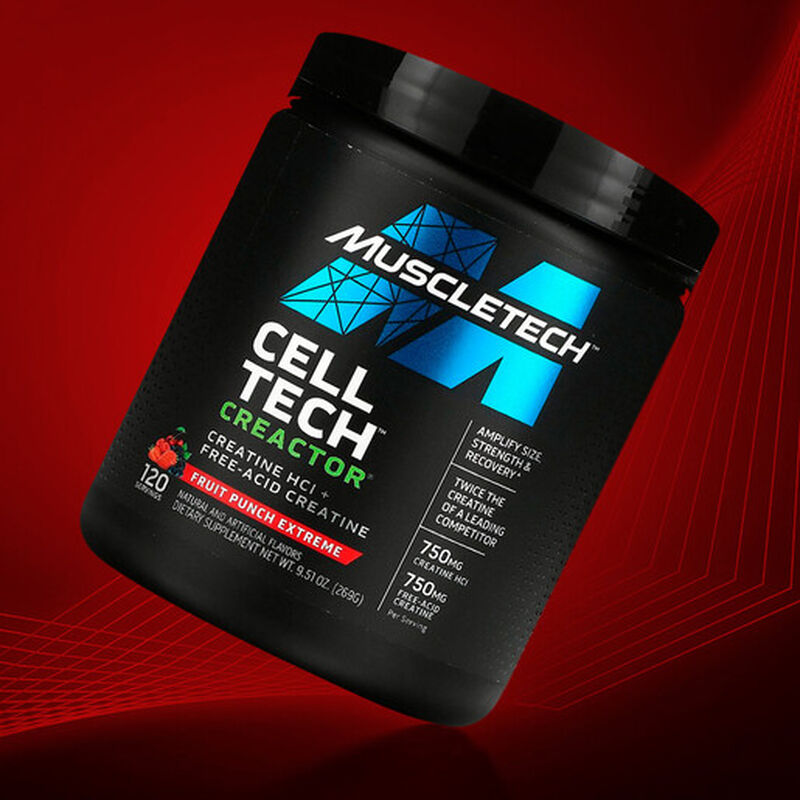 Creatina Creator Muscletech Fruit Punch image number null