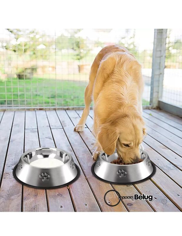 Comedero para perro y gato Casa BIU image number null