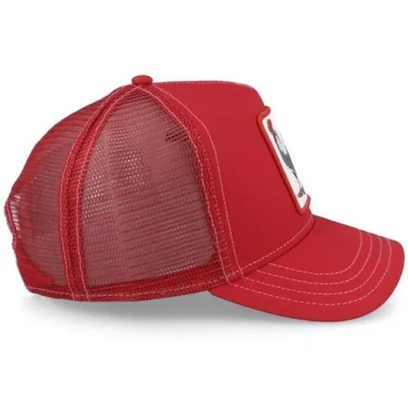 Gorra Goorin Bros Cock 625498054 image number null