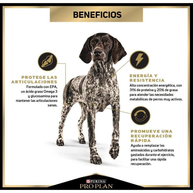 Pro Plan Performance 13 Kg Original Sellado mas... image number null