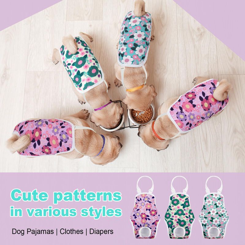 Pa&ntilde;ales Lavables Para Perras Jollywoods 3‑pack ... image number null