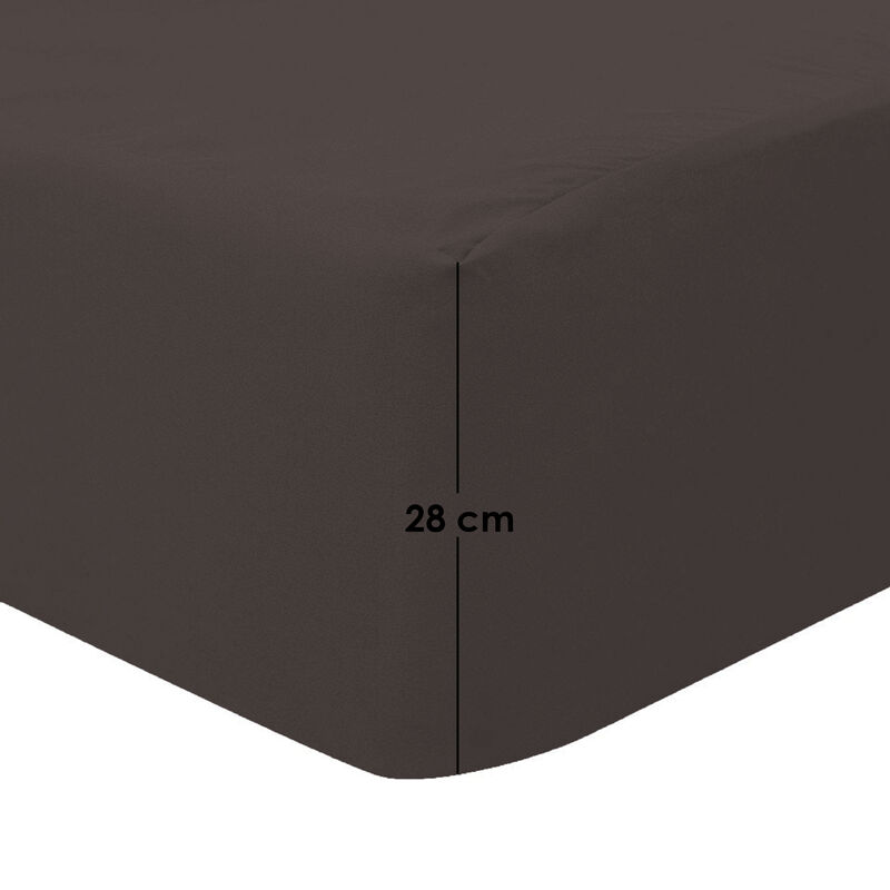 Juego de S&aacute;banas King Size Microfibra S&uacute;per Sua... image number null