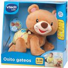 Osito gateos